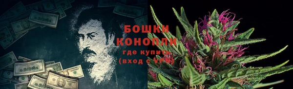 PSILOCYBIN Балахна