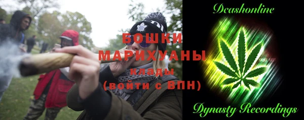 PSILOCYBIN Балахна