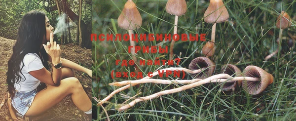 PSILOCYBIN Балахна