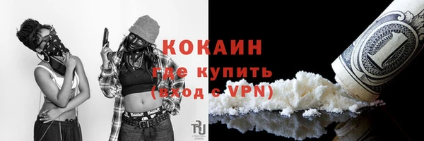 PSILOCYBIN Балахна
