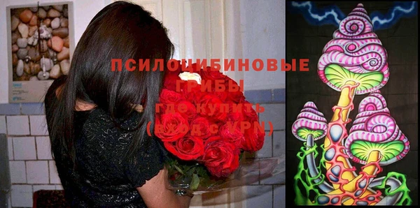 МДПВ Кулебаки