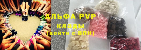 PSILOCYBIN Балахна