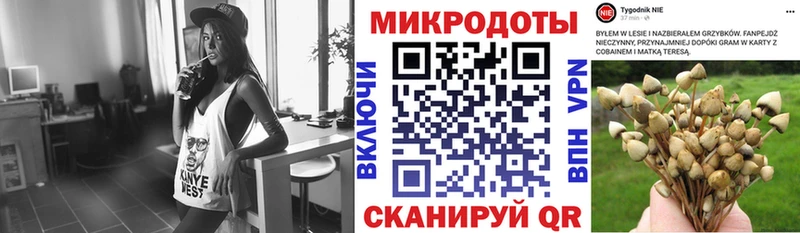 Псилоцибиновые грибы Cubensis Валдай